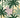 Greeting Card - Green Paradise