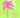 Greeting Card - Palm Tree