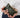 Coin Purse | Moss