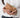 Coin Purse | Biscuit