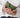 Coin Purse | Chicago green