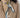NC - Van Laack Blazer