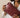 Companion Bag | Texas Plum