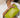 Companion Bag | Lime