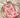 Indian Cotton Napkins | Red bloom
