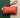 Mini Pouch '25 | Texas Coral